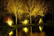 Pond Night Wall Decal