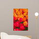 Orange and Deep Red Tulips Wall Mural