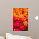 Orange and Deep Red Tulips Wall Mural