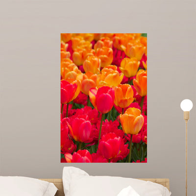 Orange and Deep Red Wall Mural shown on a wall