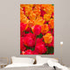 Orange and Deep Red Tulips Wall Mural