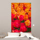 Orange and Deep Red Tulips Wall Mural