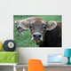 Portrait Cow Wall Mural