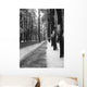 avenue of the pines Wall Mural