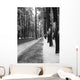 avenue of the pines Wall Mural