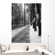 avenue of the pines Wall Mural