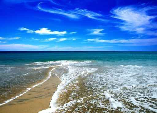 Beach Summer Wall Decal