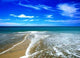 Beach Summer Wall Decal