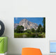 El Capitan Wall Mural