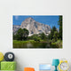 El Capitan Wall Mural