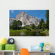 El Capitan Wall Mural