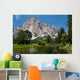 El Capitan Wall Mural