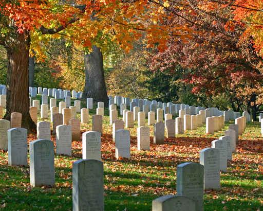 Arlington Cemetery 3 Wall Decal