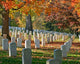 Arlington Cemetery 3 Wall Decal