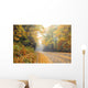 Autumn and Blue Ridge Parkway Wall Mural