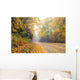 Autumn and Blue Ridge Parkway Wall Mural