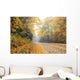Autumn and Blue Ridge Parkway Wall Mural