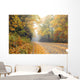 Autumn and Blue Ridge Parkway Wall Mural