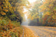 Autumn and Blue Ridge Parkway Wall Mural