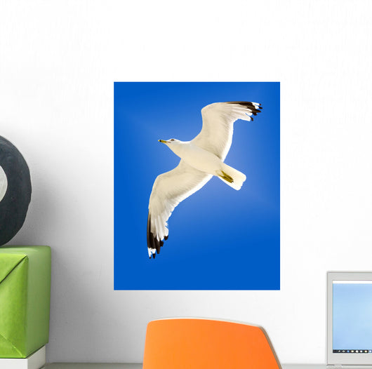 Seagull Wall Mural