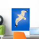 Seagull Wall Mural
