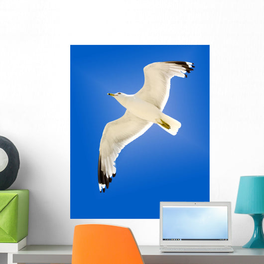 Seagull Wall Mural