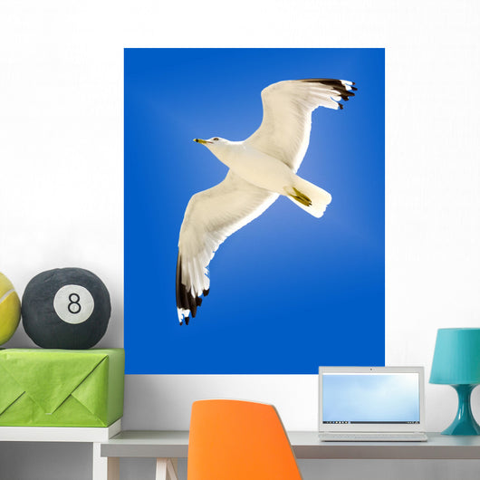 Seagull Wall Mural