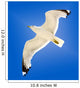 Seagull Wall Mural