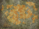 Treasure Map Wall Mural