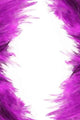 feather borders Wall Decal
