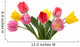 Beautiful Tulips Wall Decal