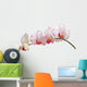 Orchid on White Wall Decal