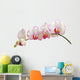 Orchid on White Wall Decal