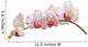 Orchid on White Wall Decal