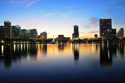 Dowtown Orlando, FL Wall Mural