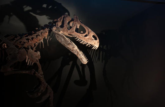 One Dinosaur Skeleton with Scary Shadows Wall Mural