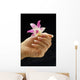 female hand holding flower Wall Mural