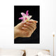 female hand holding flower Wall Mural