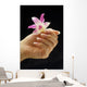 female hand holding flower Wall Mural