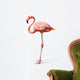 flamingo on white Wall Decal