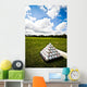 Golf Ball Pile at Driving Range Wall Mural
