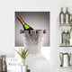 crystal champagne bucket Wall Mural