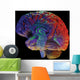 brain on black Wall Mural