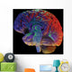 brain on black Wall Mural