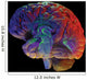brain on black Wall Mural