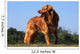 superbe nova scotia duck tolling retriever standard de profil Wall Mural