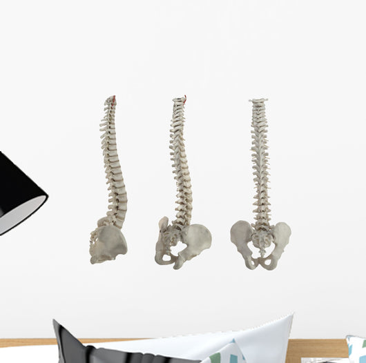 Three Spines Wall Stickers