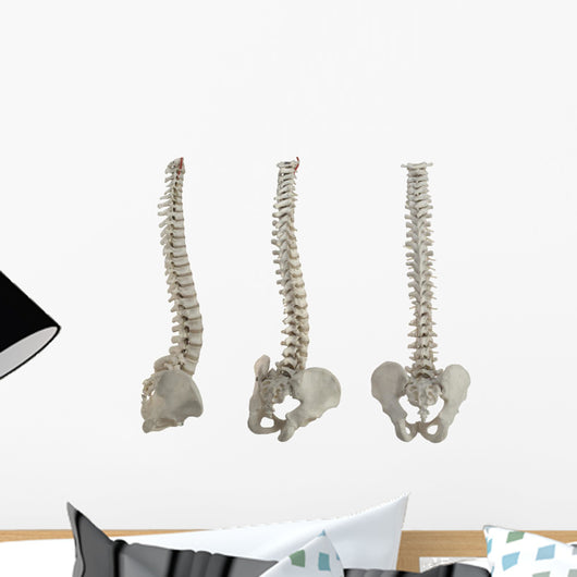 Three Spines Wall Stickers