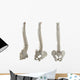 Three Spines Wall Stickers