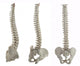 Three Spines Wall Stickers